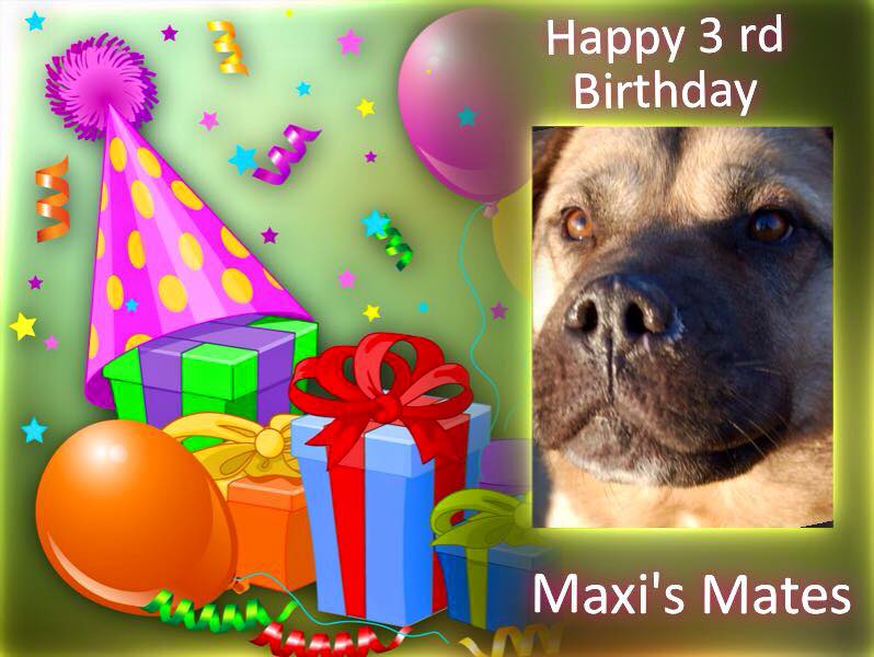 happy 3rd birthday maxis