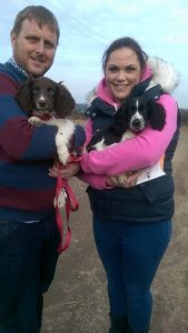 louise hill and the 2 pups
